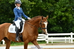 Friday 30th - British Dressage Classes portfolio