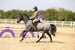 SBM_003036