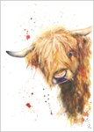 Fergus Highalnd Cow Fine Art Print 722
