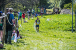 The Finish-1366