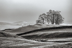 Teenley Hill 01