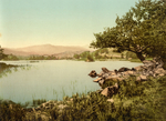 Lake District Rydal Water 39