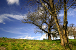 Aston Court _B073