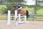 BPP_3311