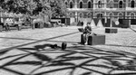 Audience