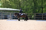 WJ6_0667