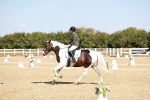 SBM_017467