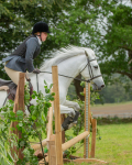 Dunblane show-411
