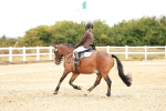 SBM_001464