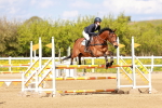 SBM_001831