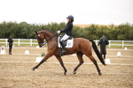 SBM_006772