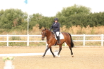 SBM_000237