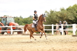 SBM_003375