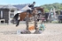 BPP_2139
