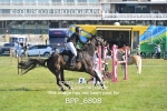 BPP_6808