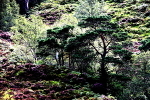 20100827_0217_2
