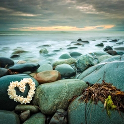 Selected images from the archive portfolio