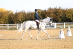 SBM_009031
