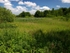 Manor Fields Park #09