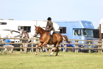 SBM_12523