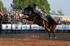 3HRodeo7-12-24_3946_LJD