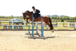 SBM_006906