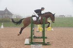Cls 30 Academy Team Horse 85cm portfolio