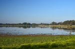 La Madre de las Marismas, El Rocío, Coto Doñana, Andalucia, Spain