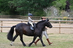 WJ7_9676