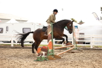 SBM_03564