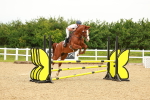 SBM_000783