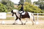 SBM_003681