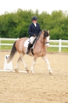 SBM_006424