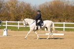 SBM_003558