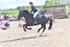 BPP_6519