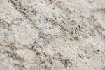 SBM_006882
