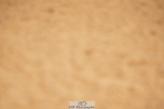 240317A-135202-06860