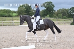 BPP_7931