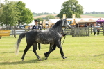 SBM_00757