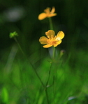 IMG_7201_2