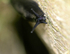 Slug 1 of 1