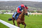 240126-Race 7-Ma Shantou-7743