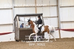BPP_9065