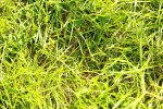 SBM_12004