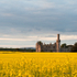 Ducketts Grove, Carlow