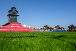 130826-Race 1-Not My Type-5231