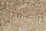 230721A-121620-06066