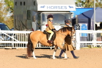 SBM_08151