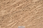 231028A-120342-00989