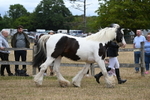 WJ6_8358